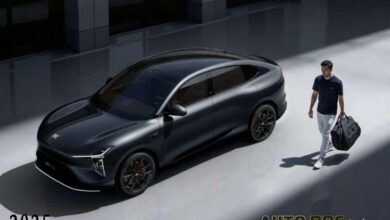 IM LS6