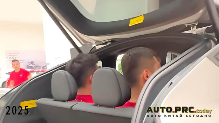 Tesla Model Y L
