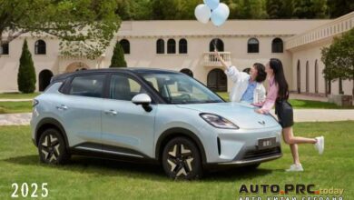 Wuling Bingo S