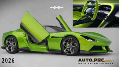 Fang Cheng Bao Formula X