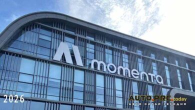 Momenta IPO