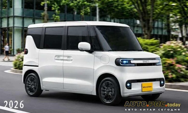 BYD Racco