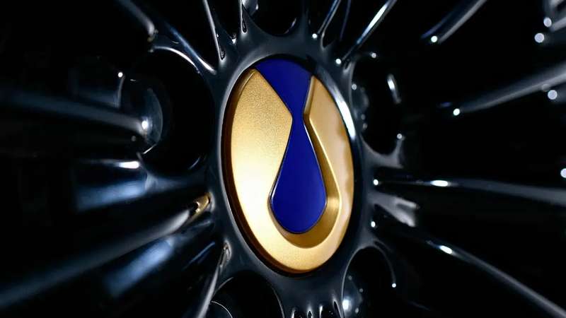 Denza D9 Dark Gold