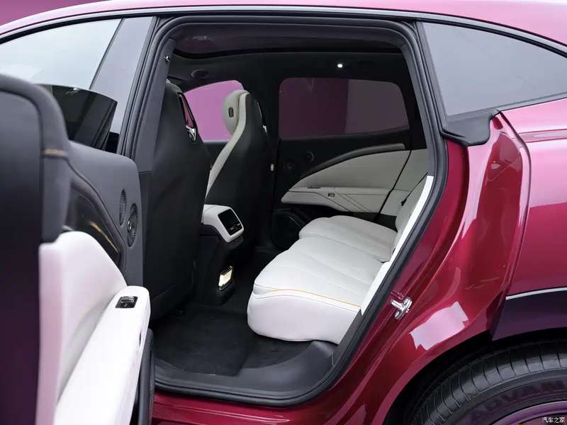 Voyah Passion S