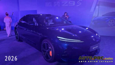 Denza Z9S