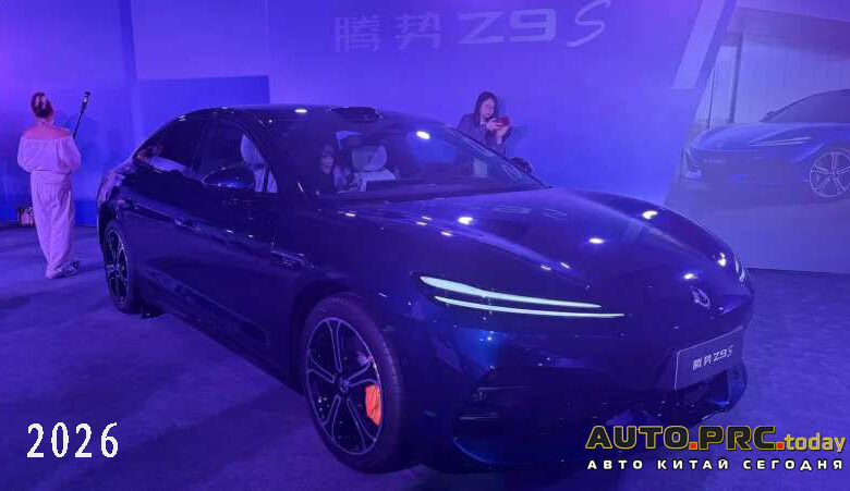 Denza Z9S