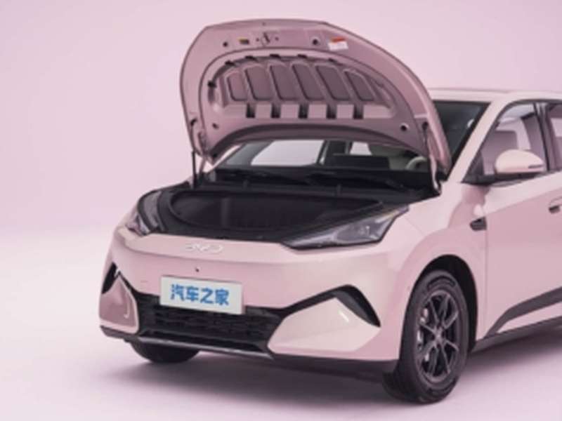 BYD Seagull 