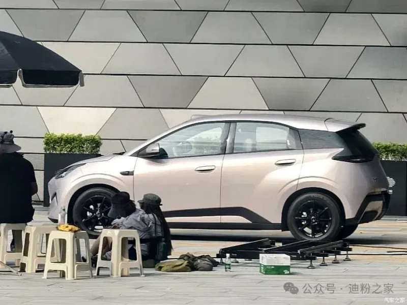 BYD Great Seagull